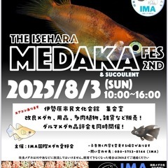 8/3（日）　伊勢原メダカ多肉フェス開催！