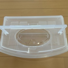虫かごの画像