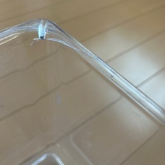 虫かごの画像