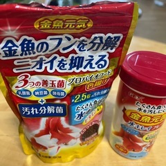 30cmキューブガラス水槽の画像