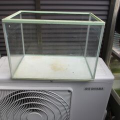 メダカ　商談中です。ガラス水槽　2個で７００円！！！