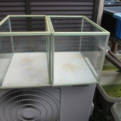 メダカ　商談中です。ガラス水槽　2個で７００円！！！の画像