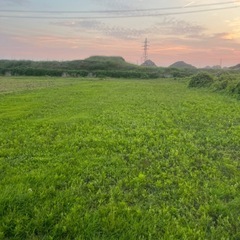 畑手伝い
