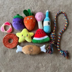 子犬トレーニングケージの画像