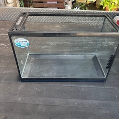 マリーナ水槽の画像