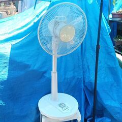 ★クリーニング済み!!★ おおたけ 扇風機 EF-316Tの画像
