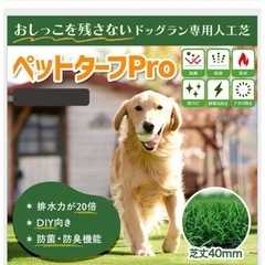 ④幅200×長さ色々3枚セット【ペット用高級人工芝】端切れ　長方形サイズの画像