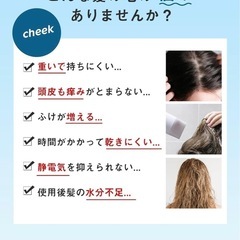 【7月末まで限定価格】期間限定値下げ中！【口コミ⭕️】ヘアドライヤー 大風量 高濃度 マイナスイオン パワフル乾燥 静音の画像