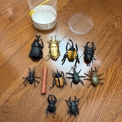 あげます　カブト&クワガタ昆虫シリーズの画像