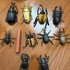 あげます　カブト&クワガタ昆虫シリーズの画像