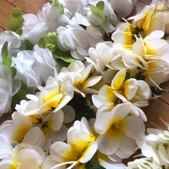 フラダンス　レイ　素材　造花　白の画像