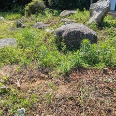 庭土　好きなだけ持っていってください