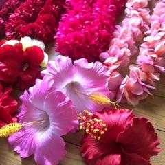フラダンス　レイ　造花　素材　赤の画像