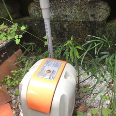闘魚と飼育セット1式！繁殖飼育したい方や副業必見！の画像