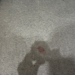 ソファーの画像