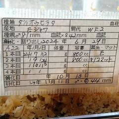ダイオウヒラタクワガタ79mm ペアの画像