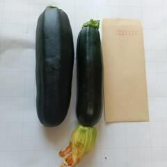 ズッキーニ2個