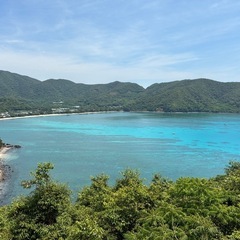 奄美🌺
