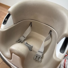ingenuityの画像