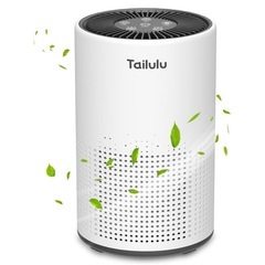 小型卓上 空気清浄機 軽量 省エネ 6畳～20畳対応 極静音