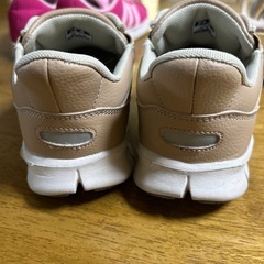 ゴールデンベアーの画像