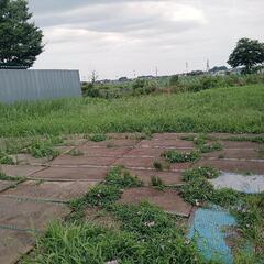 草刈りをしてくれる方募集！
