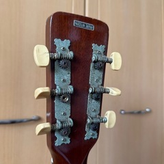 Wilson T147 ジャパンビンテージアコースティックギターの画像