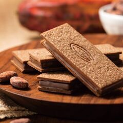 【Cacaotier Gokanのカカオサンド＆ドリンク付…