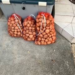 野菜無料であげます。家計支援。2週間以上日持ちします。