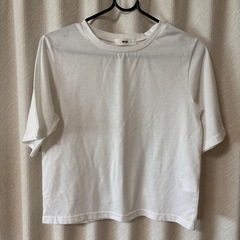 WEGO フリーサイズ 白Tシャツ 着丈短めの画像