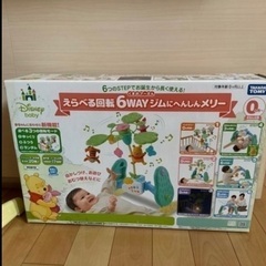 プーメリーの中古が安い！激安で譲ります・無料であげます(4