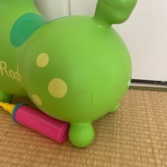 ロディの画像