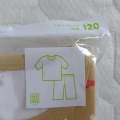 120 半袖 しろくまのパンツ パジャマ ユニクロの画像
