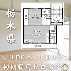 【烏山／1LDK】✨初期費用0円✨2人入居OK👥ペット相談🐱