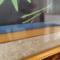 恵比寿大黒の額の画像