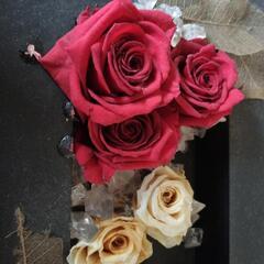 ブリザードフラワーの画像