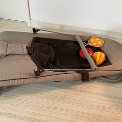 【お譲り先決定】リッチェル　バウンサーの画像