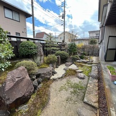 植木、庭石あげますの画像