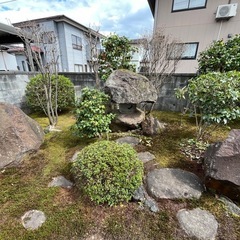 植木、庭石あげますの画像