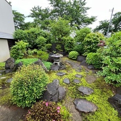 植木、庭石あげます