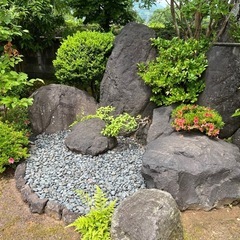 植木、庭石あげますの画像