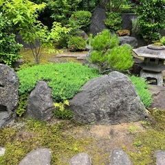 植木、庭石あげますの画像