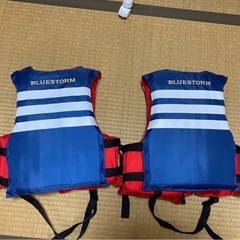 未使用　桜マーク　ライフジャケット　小学生用　15〜40kg小型船舶用救命胴衣　の画像