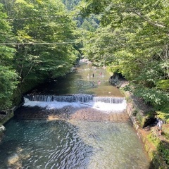 7/12,13どちらかで鞍馬山に登りませんか？