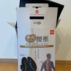 ほぼ未使用　KARADAファクトリー　腰椎サポートクッション　座善（The Zen）の画像