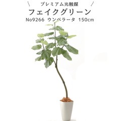 ウンベラータ150cm フェイクグリーンの画像