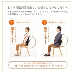 ほぼ未使用　KARADAファクトリー　腰椎サポートクッション　座善（The Zen）の画像