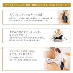 ほぼ未使用　KARADAファクトリー　腰椎サポートクッション　座善（The Zen）の画像