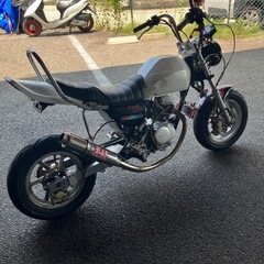 エイプ、モンキー、マグナ、ヨシムラ、ディトナ、ブレンボ