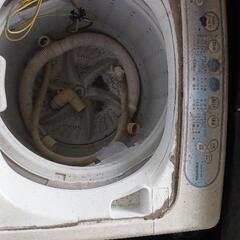 洗濯機東芝の画像